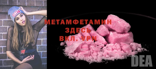 прущие грибы Ладушкин