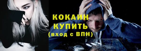 прущие грибы Ладушкин