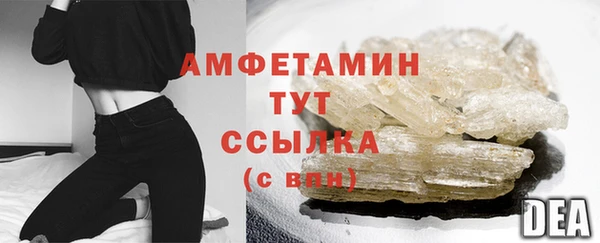 прущие грибы Ладушкин