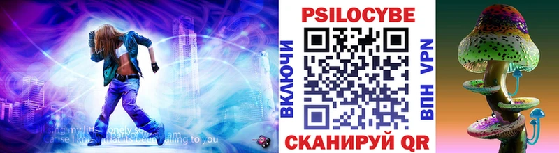 Купить закладки  Конаково  Псилоцибиновые грибы Cubensis 